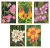 Pack of 5 Assorted  Gutta Outlines - Exotic Flower Pack