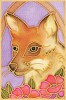 Fox Design Card