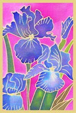 Iris (2) Design Card