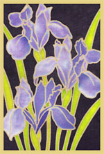 Iris (1) Design Card